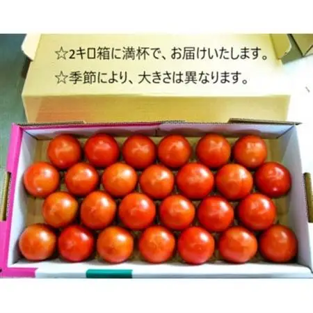 フルーツトマト(深層水トマト)2キロ【濃厚な甘みと旨み】【配送不可地域：離島】【1565698】