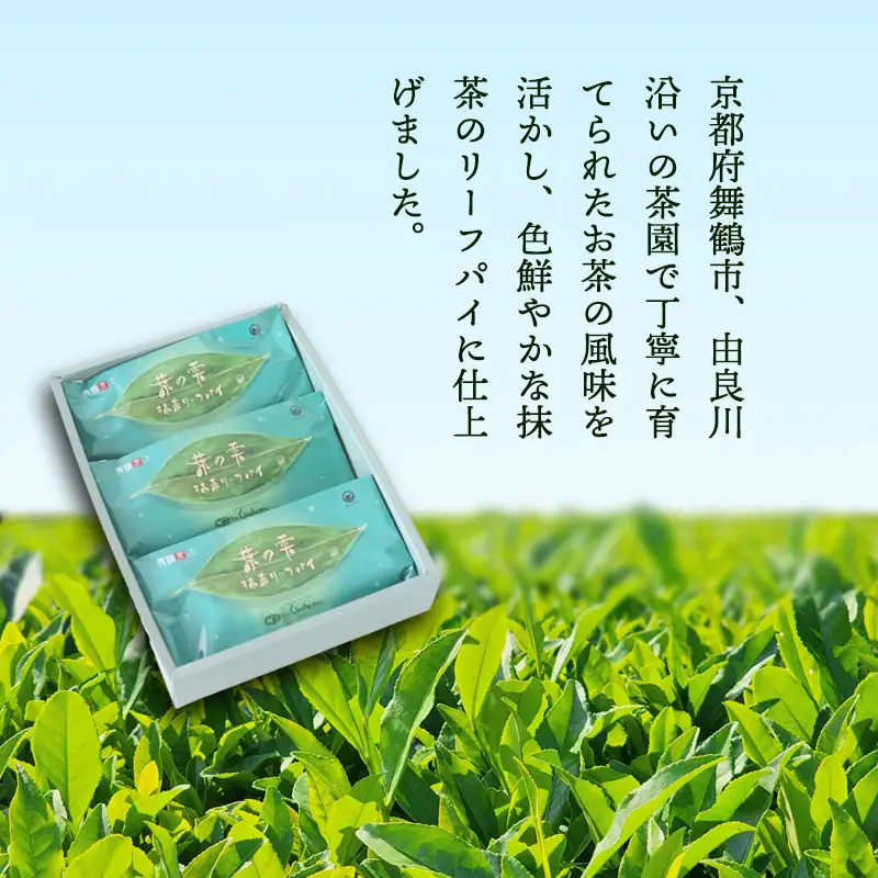 リーフパイ 9枚 葉の雫 抹茶 パイ