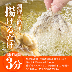 高橋水産 あじフライ (計16枚・4枚×4P) 鯵 アジ あじ 魚 魚介類 海産物 揚げ物 揚物 フライ おかず おつまみ お惣菜 お弁当 小分け パック 冷凍 簡単 時短 大分県 佐伯市【DH275】【(株)ネクサ】