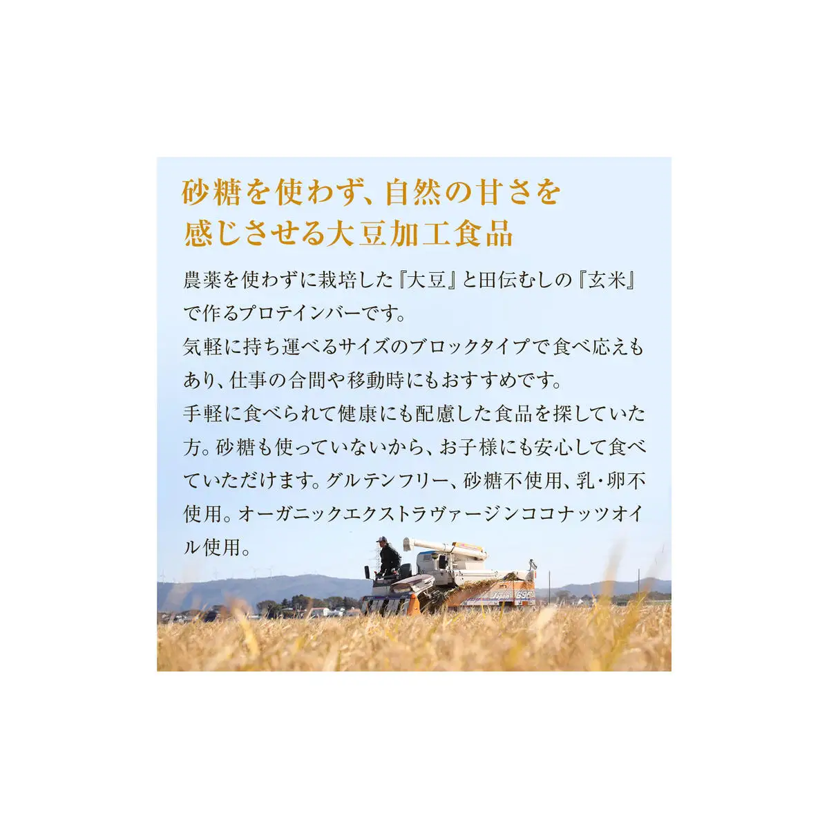 だいずばぁ 3本入り× 8個 プロテインバー グルテンフリー
