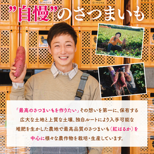 【日本さつまいもサミット2025-26　ファーマーズ・オブ・ザ・イヤー受賞】冷凍 壺焼き芋 紅はるか1kg（500g×2）（IN-11)
