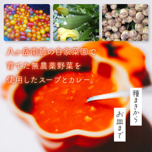 おまかせ季節のスープとカレー12個セット スープ カレー 組み合わせ おまかせ 12個 セット 各180g 無農薬 野菜 コーン カボチャ サツマイモ ジャガイモ ズッキーニ サトイモ キノコ パプリカ カブ タマネギ ナス トマト 味噌 食品添加物不使用 化学調味料不使用 詰め合わせ 北杜市 [h264]