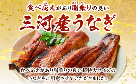 【定期便】三河産うなぎ「超特大蒲焼き3尾(合計580～600g)」×6回(隔月1回 1年間)・A192-156