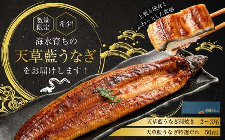 海水育ちの天草藍うなぎ 蒲焼 2～3尾セット 合計約400g タレ付き うなぎ 鰻 ウナギ 蒲焼き かば焼き うなぎの蒲焼 魚 お魚 父の日