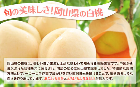 岡山県の旬の白桃 	約3.6kg 花田青果株式会社