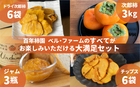 《先行予約》皇室献上品 次郎柿 三昧セット 百年柿園 ベル・ファーム 産地直送 生産者直送 農家直送 高糖度 愛知県 豊橋市 送料無料 39000円