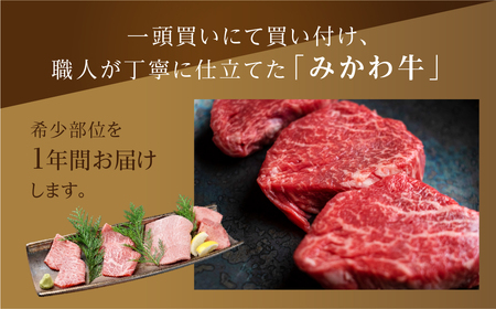 黒毛和牛 みかわ牛 希少部位 定期便4回 牛肉