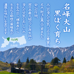 【令和8年10月以降発送新米】MS-98 大山町産こしひかり【大山の一粒】10ｋｇ（白米）