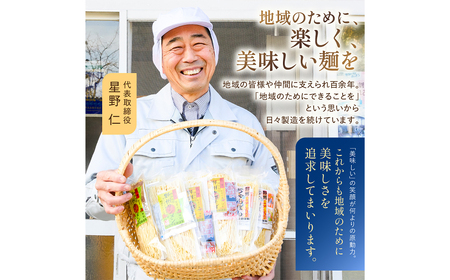 野州濃厚煮干しラーメン 10袋セット ns036-012-10 麺 ﾗｰﾒﾝ 煮干し 野州支那そば 細? 中華支那そば つけ麺 醤油