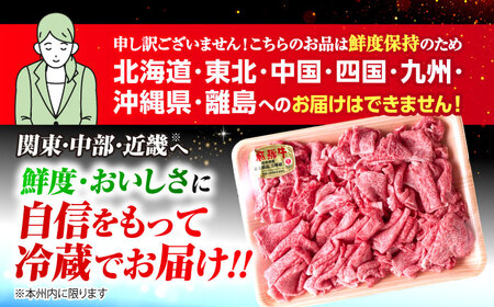 ※冷蔵配送/地域限定※ 飛騨牛 切落し (モモまたはカタ) 700g 瑞浪市 / きなぁた瑞浪 和牛 国産 岐阜県産 [AZCI028]