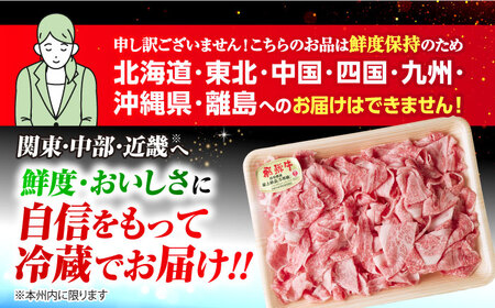 ※冷蔵配送/地域限定※ 飛騨牛 小間切 450g 瑞浪市 / きなぁた瑞浪 和牛 国産 岐阜県産 [AZCI026]
