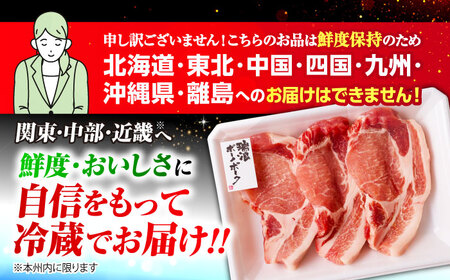 ※冷蔵配送/地域限定※ 豚肉 瑞浪ボーノポーク ステーキ 1kg 食べ比べセット (リブロース・ロース・肩ロース) きなぁた瑞浪 [AZCI023] 豚肉ステーキ