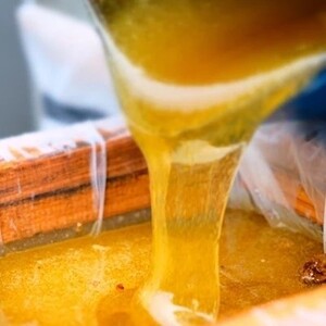 数量限定 純はちみつ 巣蜜 約250g 天然 国産 天然はちみつ 天然蜂蜜 天然ハチミツ 国産はちみつ 国産蜂蜜 国産ハチミツ 巣みつ はちみつ 蜂蜜 ハチミツ 純蜂蜜 純ハチミツ フルーティー ハニー 限定 福岡 福岡県 小郡市