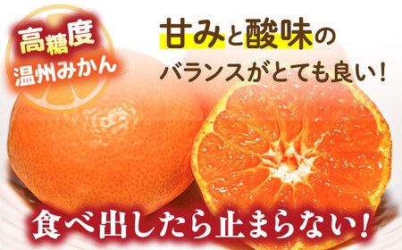 【2026年11月下旬-発送】【高糖度】訳あり 温州みかん 約3kg（傷もの）/ みかん ミカン 蜜柑 果物 フルーツ / 南島原市 / 南島原果物屋[SCV022]