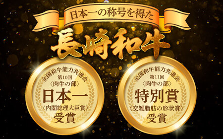 【A4ランク以上】長崎和牛 切り落とし 500g / 和牛 国産 牛肉 にく きりおとし 真空 / 南島原市 / ミカド観光センター[SEC003]