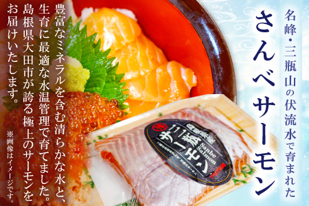 さんべサーモン 400g【サーモン 400g フィレ サーモントラウト ニジマス サーモン さけ シャケ しゃけ sake 生食用 刺身 お刺身 刺し身 魚介類 海鮮 冷凍 真空パック】