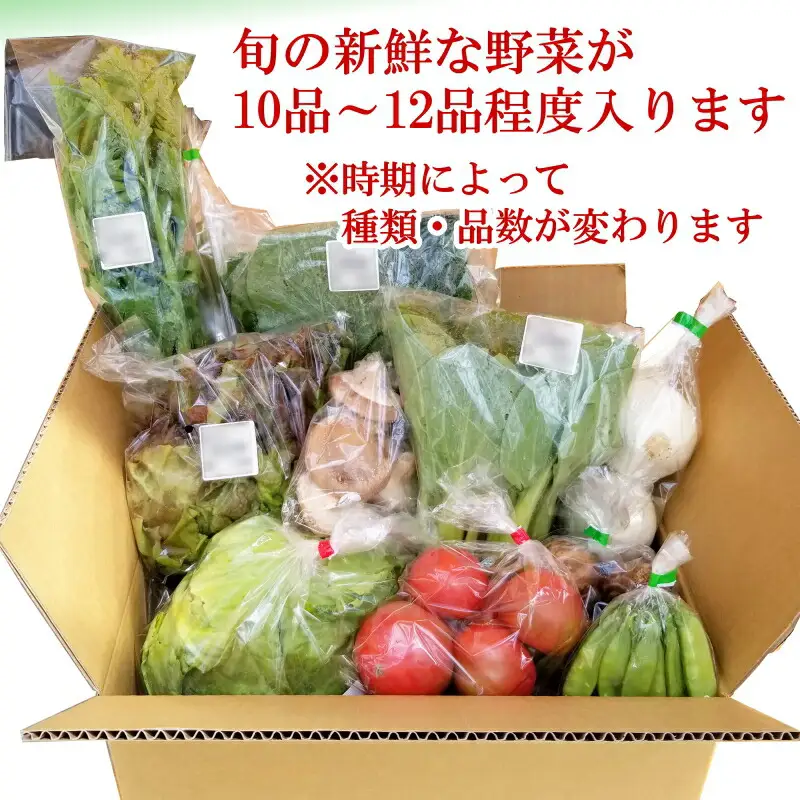 『定期便』全3回 野菜 おまかせセット 毎月届く定期便 旬 道の駅直送 季節野菜 豊平どんぐり村 さんさん市_SA073_001s3