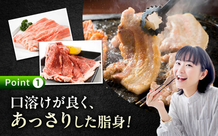豚肉バラエティセット約1,200g [BAER012] 豚肉