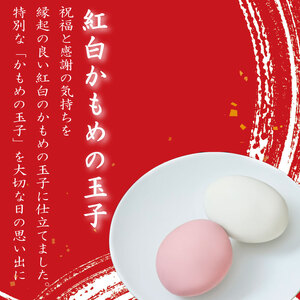 紅白かもめの玉子 ミニ 16個 (8個入×2箱) 菓子 お菓子 スイーツ おやつ 銘菓 個包装 贈答 のし プレゼント 祝い 父の日 母の日 お歳暮 お中元 さいとう製菓 三陸 岩手県 大船渡市