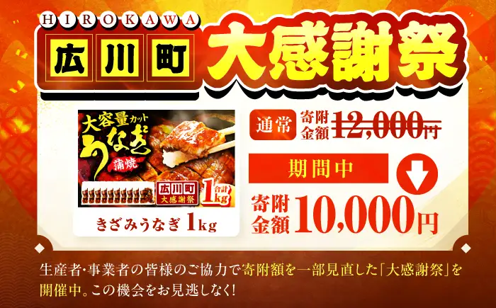 【大感謝祭：寄附額見直し】きざみうなぎ 計1kg / きざみ うなぎ[AFBS001]