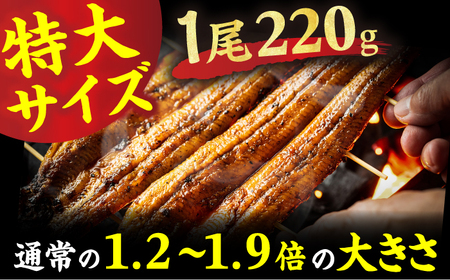 特大うなぎ蒲焼（220g×2尾） / うなぎ ウナギ 鰻 [AFBS005]