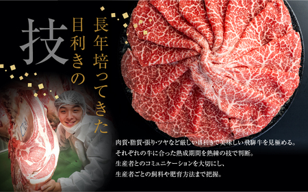 飛騨牛 サーロインステーキ A5 ２枚 肉の沖村 飛騨牛 [F0044] 