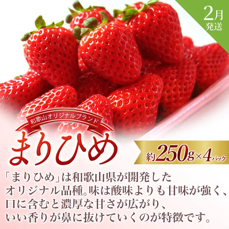 フルーツ定期便 全3回 いちご・桃・ピオーネ フルーツ【tkb401】