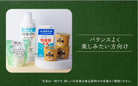 お好みに合わせて選べる！福袋お楽しみ(バランスよく楽しむ)乳製品セット 牛乳 ヨーグルト 飲むヨーグルト のむヨーグルト モッツァレラチーズ 詰め合わせセット セット 福袋
