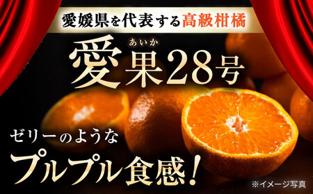 みかん 訳あり 愛果28号 約3kg 約15玉 フルーツ 果物 みかん 訳あり BJBL002