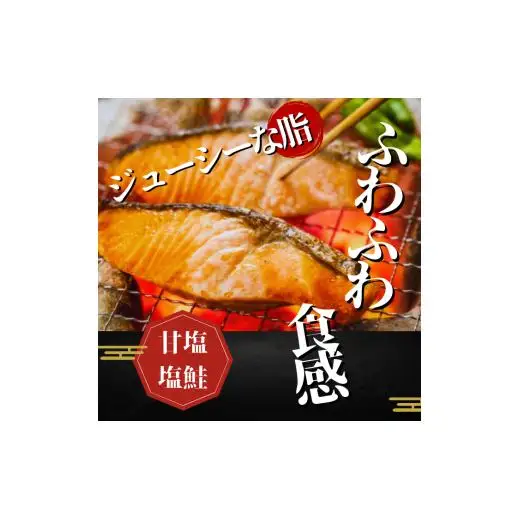 本格銀鮭甘塩切身セット 8切 640g / 鮭 切り身 個包装 冷凍 さけ サケ しゃけ 銀鮭 千葉県 匝瑳市