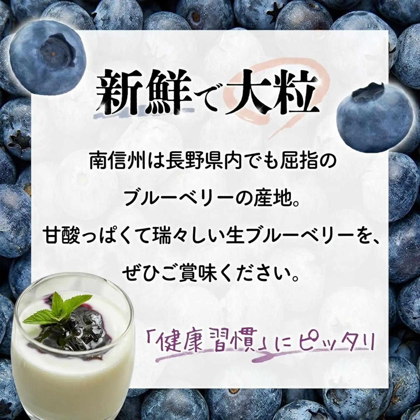 A-118　生ブルーベリー 約1kg（100g×10パック）＜2026年発送　先行予約＞ 