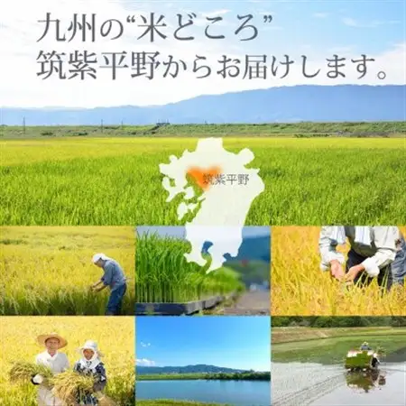 令和7年産 福岡県産「元気つくし」5kg×1袋 [5kg] [玄米]_ 玄米 米 こめ コメ_【1550489】