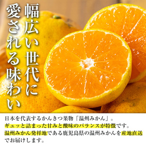 いずみ産 竹ん子山 の みかん 約5kg みかん 【イーサイドライン】 i1030