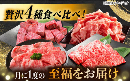 【4回定期便】 飛騨牛 プレミアム 定期便 4人前 ( しゃぶしゃぶ × すき焼き × サイコロステーキ × 焼肉 ) 各1kg[TAZ048]しゃぶしゃぶ