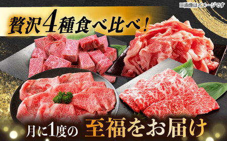 【8回定期便】 飛騨牛 プレミアム 定期便 4人前 ( しゃぶしゃぶ × すき焼き × サイコロステーキ × 焼肉 ) 各1kg [TAZ049]すき焼き