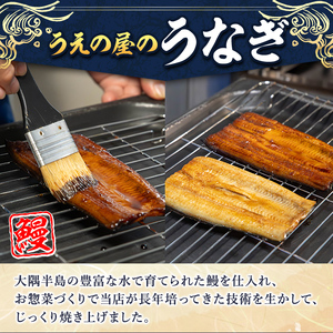 a982-A うなぎ蒲焼き・1尾分(170g～190g)【うえの屋】姶良市 うなぎ 鰻 ウナギ 蒲焼き 蒲焼 かばやき カット タレ 鹿児島 国産 冷凍