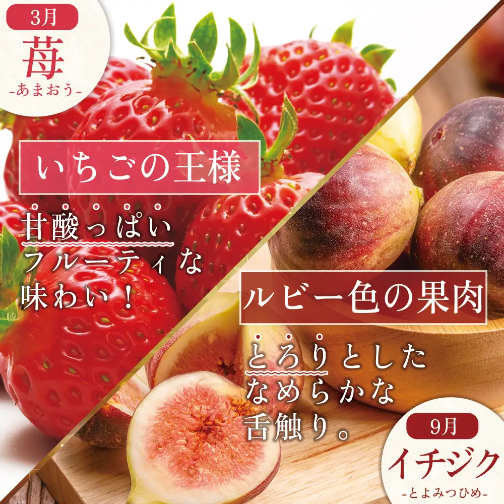 福岡県認定 季節の果実セレクション【定期便 全4回】 3W26