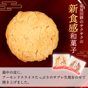 金菓賞受賞 サブレ はな椿 10個 【全国菓子大博覧会・三重 】菓子 洋菓子 和菓子 スイーツ ココア アーモンド ビスケット クッキー おやつ おかし 小分け 贈答 のし プレゼント ギフト 和菓子屋 壷屋田耕 三陸 岩手県 大船渡市