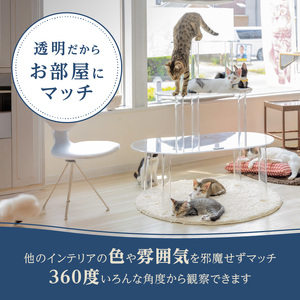 アクリル製キャットタワーlarge[149F04]