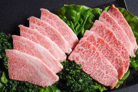 訳あり!佐賀牛焼肉切り落とし(肩ロース・バラ)500g(H112134)