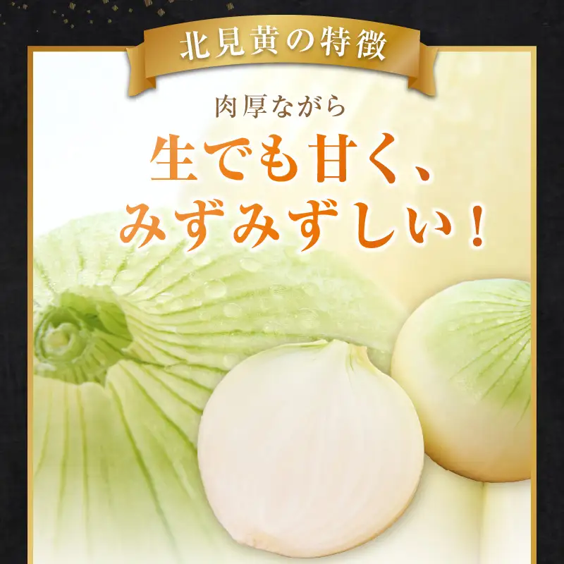  【予約：2026年9月下旬から順次発送】幻の北見黄 北海道北見産 10kg ( 野菜 たまねぎ 玉ねぎ タマネギ Lサイズ 10キロ 詰合せ )【002-0004-2026】