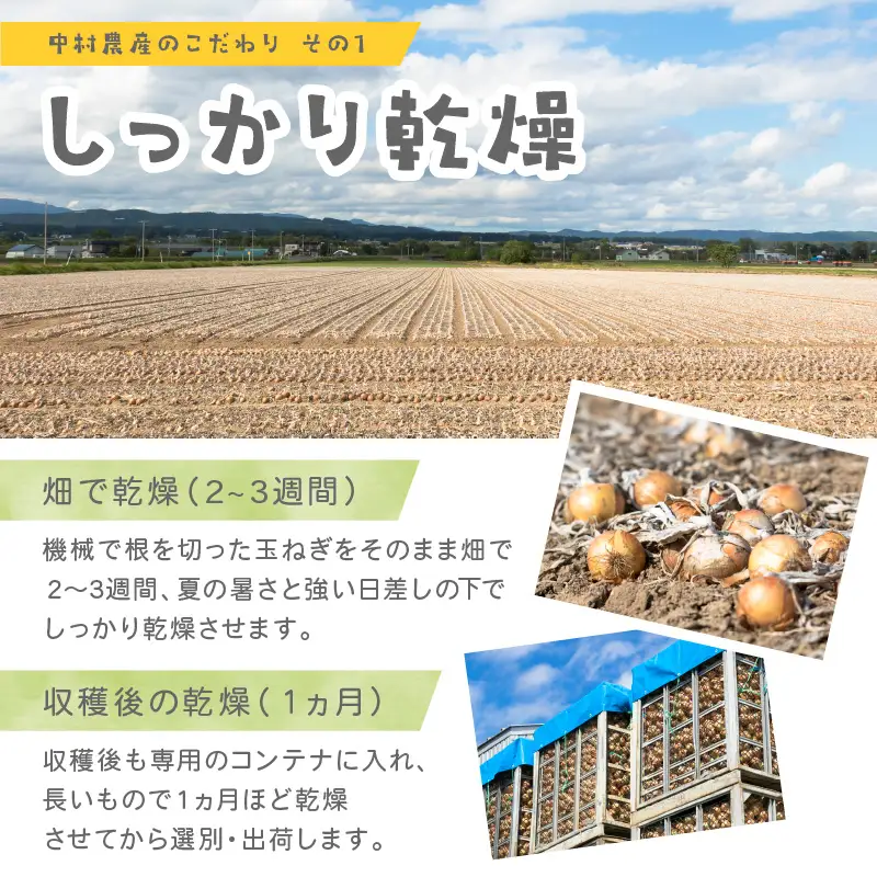 【予約：2026年10月から順次発送】北海道北見産 玉ねぎ 20kg ( 玉ねぎ 野菜 たまねぎ タマネギ 玉葱 甘い 20キロ ハンバーグ 肉じゃが ふるさと納税 玉ねぎ )【002-0005-2026】