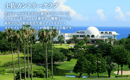 【ゴルフ＆宿泊プラン】土佐カントリークラブ(土日祝日)＆ リゾートホテル海辺の果樹園 1泊2食付（VIPルーム） hj-0008