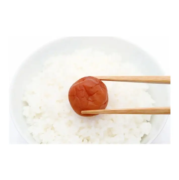 【紀州南高梅】ふるさとの梅干し うす塩梅 220g / 和歌山 田辺 紀州 南高梅 お試し 試食 初めて 味見 特選 国産 おにぎり お弁当 免疫 塩分補給  【nmn001】