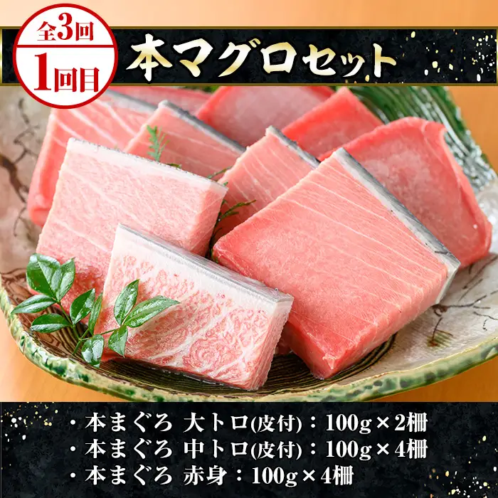 ＜3ヶ月定期便＞いちき串木野プレミアム定期便（マグロ・鰻・牛肉）【00-016-03-TK】