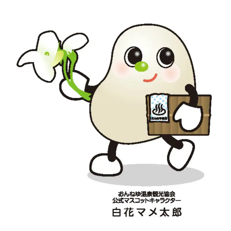 白花かすてら 15個入 ( スイーツ デザート カステラ お中元 贈答 ギフト )【027-0003】