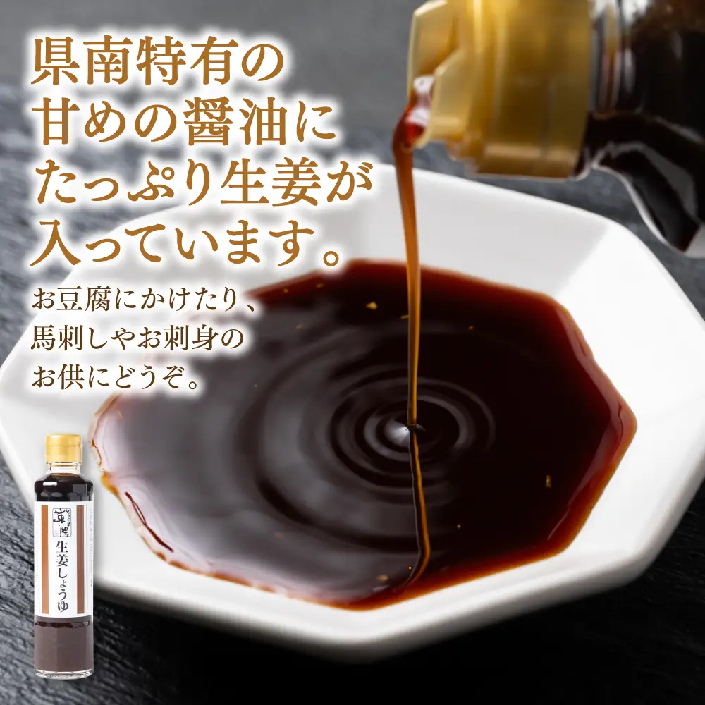 温活セット 生姜を使った加工品4点セット 生姜 温活 厳選 醤油 味噌 ふりかけ ごはんの素 熊本県産 八代市産 国産 しょうが しょうゆ みそ