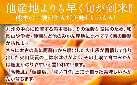 訳あり 大粒みかん 約3kg 《2027年1月中旬-2月末頃出荷》みかん 訳ありみかん 熊本県産みかん 大容量