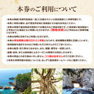 あしずり温泉郷 共通宿泊クーポン券 6,000円分 【R01314】