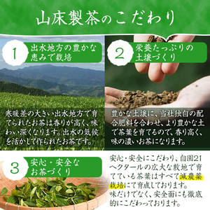 i1018 水出し茶・緑茶・ほうじ茶ティーバッグ(計6袋・各2袋) お茶 緑茶 国産 日本茶 ほうじ茶 水出し茶 水出し グリーンティー tea ギフト プレゼント 詰め合わせ 常温 常温保存 【山床製茶】